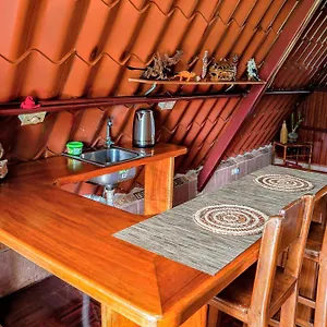 Darwin's Temple 2 Apartment